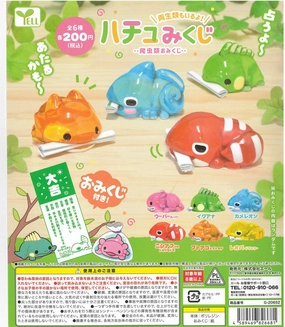 WY0027 Fortune Paper Reptiles sustainable product Biology Model