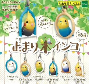 sustainable product CP0270 - Tomarigi Parakeet - Complete Set