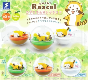 CP0522 - Rascal the Raccoon Couplium Collection - Complete Set Gallery Worthy Art Figure