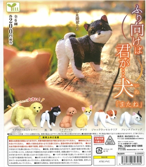 WY0030 Turning Around Dog Vol.2 Teen Bedroom