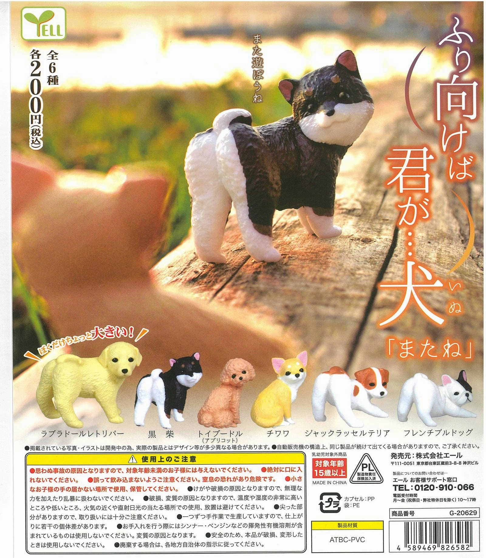 WY0030 Turning Around Dog Vol.2 Teen Bedroom