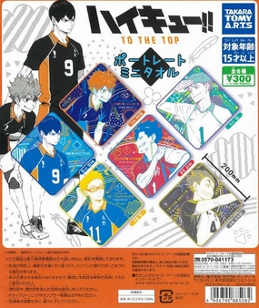 CP1061 Haikyu !! To The Top Portrait Mini Towel Kids Room Safe For Children