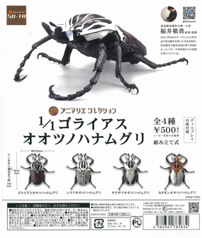CP2040 Animalier Collection 1/1 Goliathus Goliathus PVC Figure