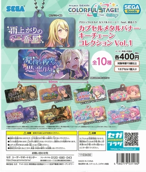CP2311 Project SEKAI Colorful Stage! feat Hatsune Miku Capsule Metal Banner Key Chain Collection Vol. 1 Bird Model Missing Piece