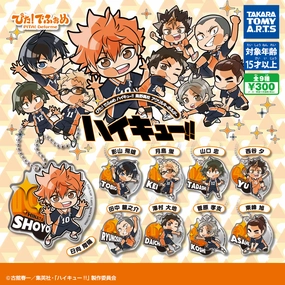 CP3045 Pita! Deformed Haikyu!! Karasuno High School Acrylic Keychain Art Deco Farm Animal