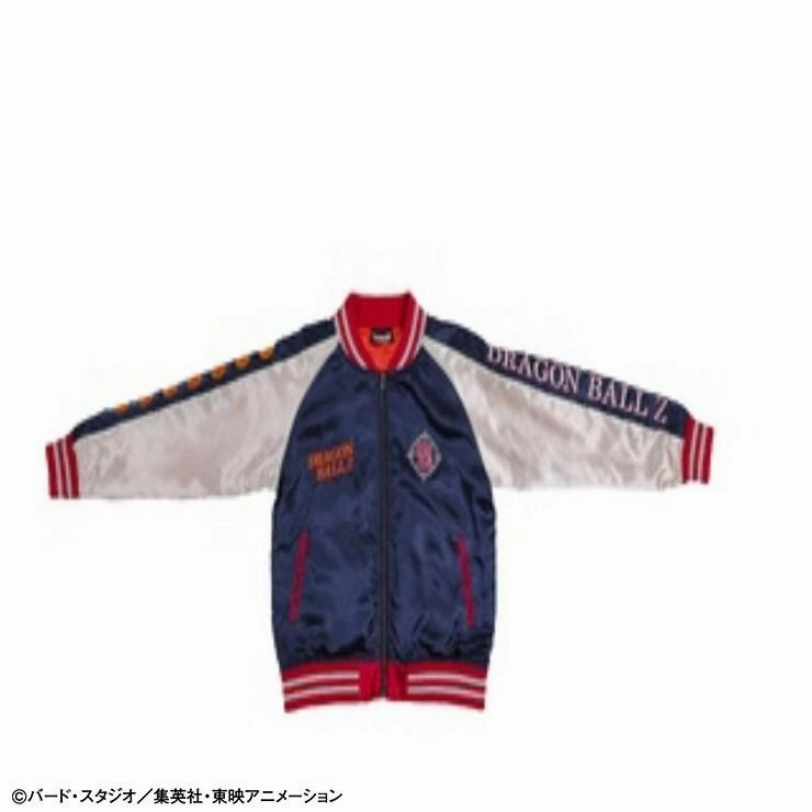 Multi Pose Limited Article Dragon Ball x Shimamura - Character Sukajan Shenron [Pre-Order Jan 2026]