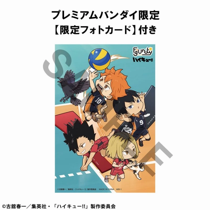 FIGUNITY SERIES Haikyu??????with gift: Photocard?? Character Decor