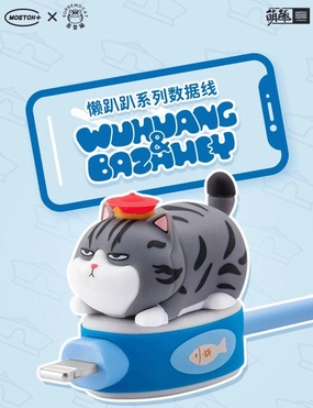 WUHUANG & BAZHAHEY series cables - Lightning Retro Game