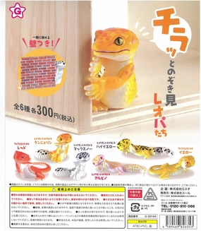 WY0023 Peeping Reptiles Worldwide Delivery